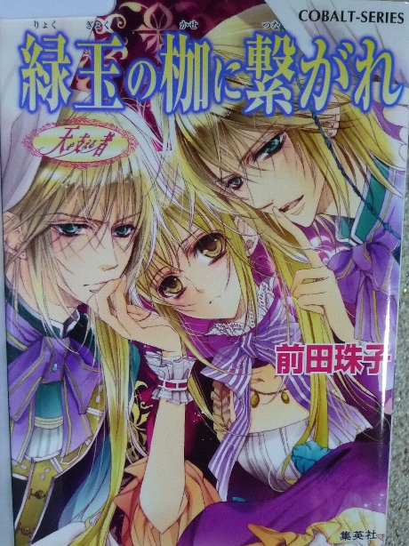 天を支える者　緑玉の枷に繋がれ　前田珠子(著)